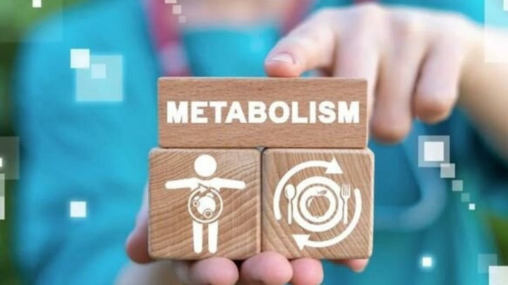 مهم‌ترین عوامل موثر بر سوخت‌وساز بدن