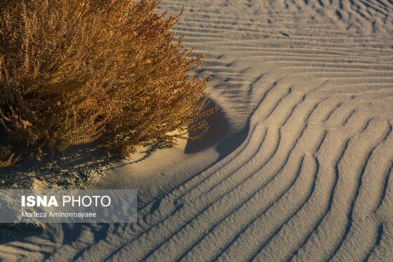 قلعه کاظم داشی؛ اثر تاریخی در سایه خشکی دریاچه ارومیه