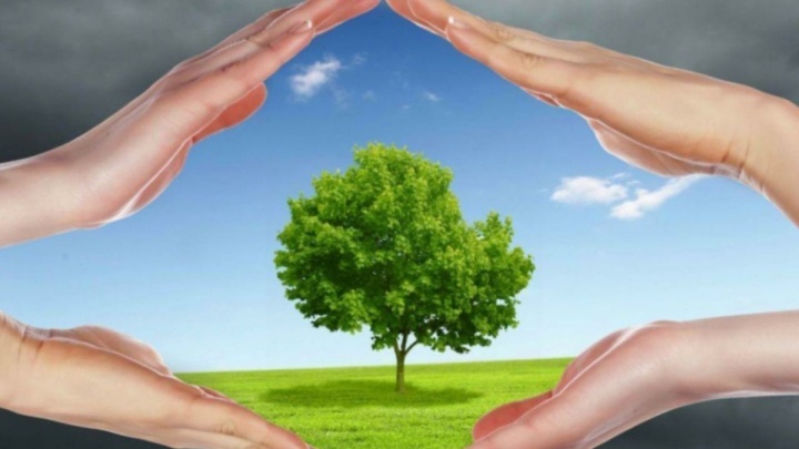 نوسازی حمل و نقل، نفس تازه شهر