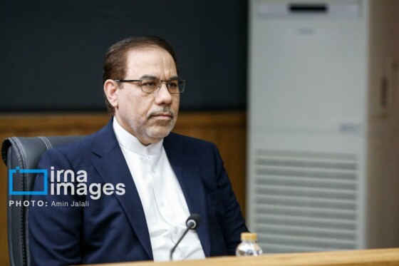 نشست خبری سخنگوی قوه قضائیه