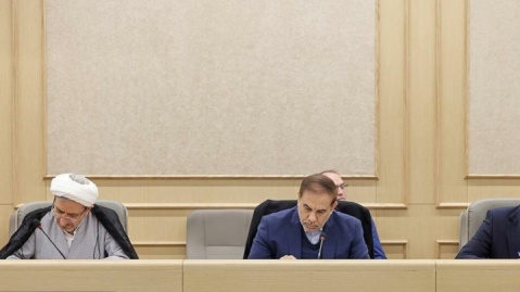 عفو شدگان عفو معیاری در زمره دستگیرشدگان اخیر نبودهاند