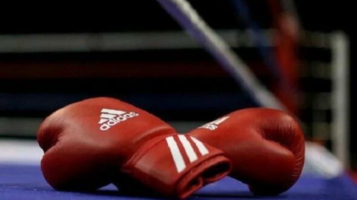 ۲ انتصاب برای بوکس ایران در آسیا