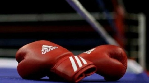 ۲ انتصاب برای بوکس ایران در آسیا