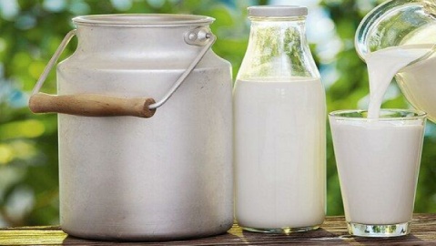 قیمت جدید شیر خام از امروز وارد مرحله اجرا می شود