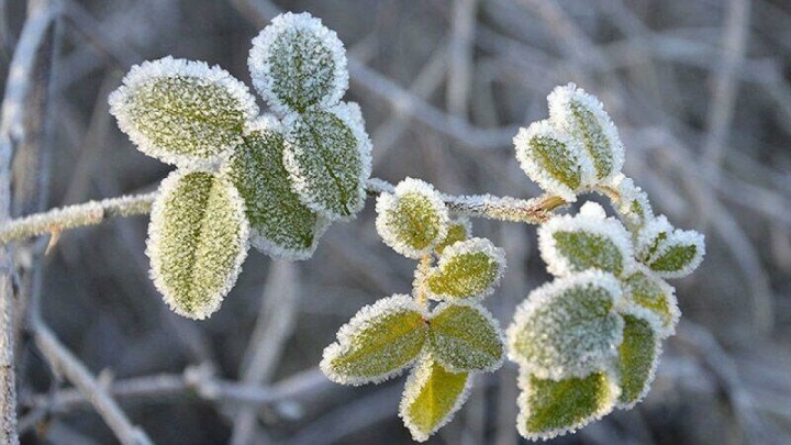سرما در آذربایجان‌غربی رکورد زد