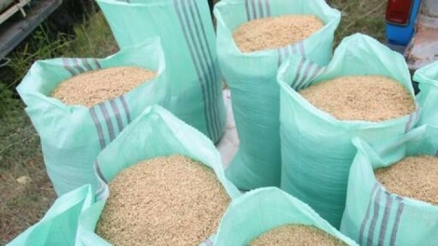 قیمت برنج خارجی در بازار چند؟/نرخ دولتی گران تر از کف بازار