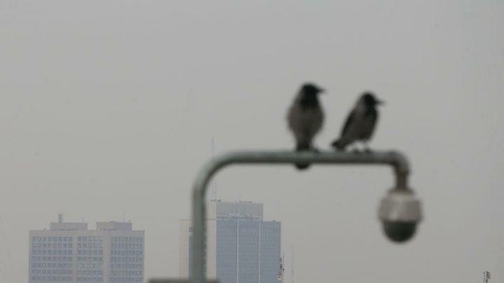 آلودگی هوا و افزایش نسبی دما در انتظار تهران