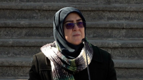 مهاجرانی: تمایلی به تنش نداریم اما در دفاع از ایران مصمم و قاطع هستیم