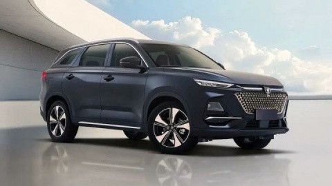 خودروی چینی رکورد گینس را شکست