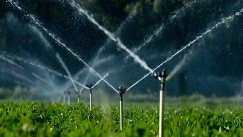اصلاح الگوی کشت صرفه جویی قابل توجه در مصرف آب داشت