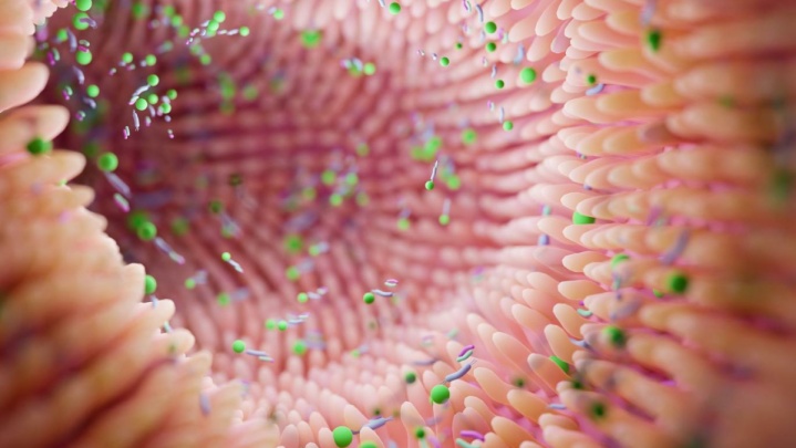 کاهش متاستاز سرطان با تغییر باکتری‌های روده