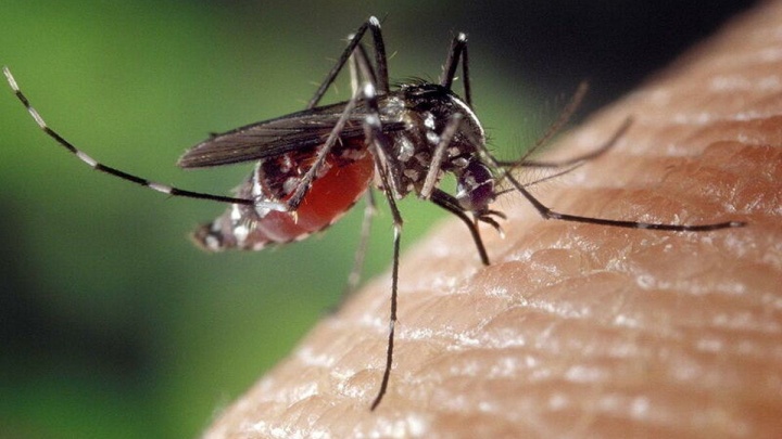 صورت زخمی برگشته؟