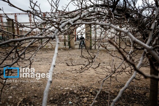 بانوان در انتظار گواهینامه موتور