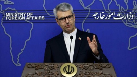 توضیحات سخنگوی وزارت امور خارجه درباره مذاکرات