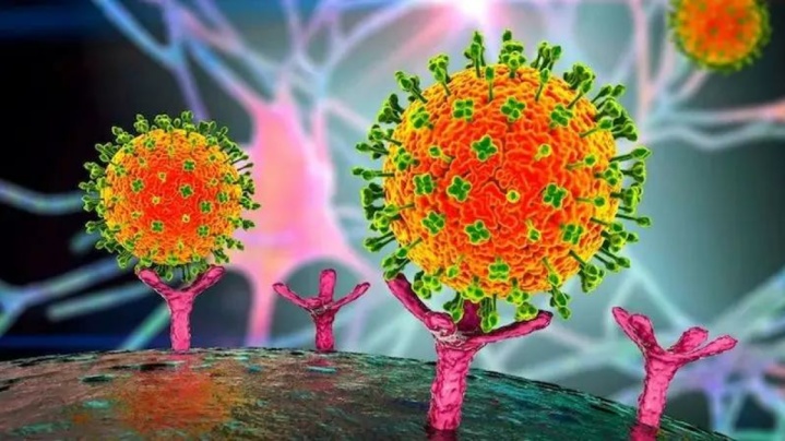 مرگ زنی در بنگلادش بر اثر ویروس «نیپا»