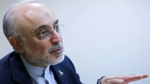 فیلم/ صالحی: بزرگ‌ترین چالش کشور در حوزه حکمرانی، تعیین تکلیف روابط بین‌الملل است