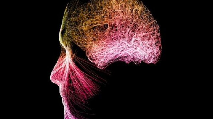 مدیتیشن فعالیت مغز را تغییر می‌دهد