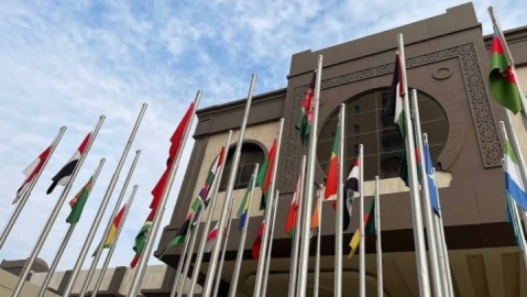 گروه عرب و سازمان همکاری اسلامی خواستار نشست فوری شورای امنیت شدند