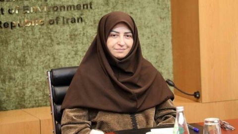 پیشنهاد محیط زیستی معاون رییس جمهوری به دانشگاهها