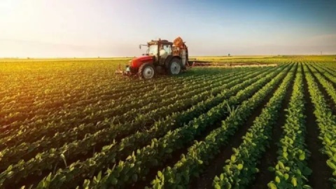 افزایش تورم در کشاورزی و دامداری