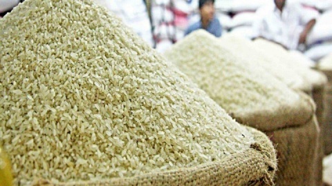 واردات برنج تسهیل شد اما نقدینگی وجود ندارد