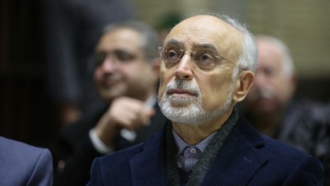 برجام مورد بی مهری در داخل کشور قرار گرفت