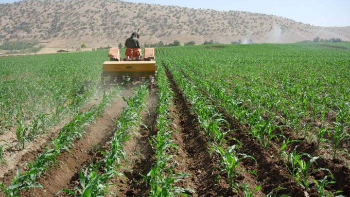 بازگشت ۲۳۴۹ هکتار به چرخه تولید کشاورزی