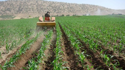 بازگشت ۲۳۴۹ هکتار به چرخه تولید کشاورزی