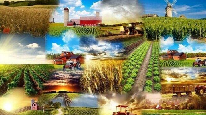 صادرات تمامی محصولات غذایی و کشاورزی ممنوع شد