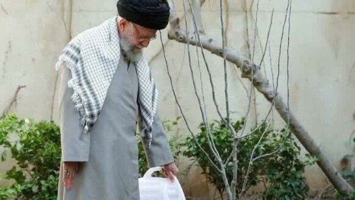 پویش درختکاری «درخت و نهال مثمر به نیت رهبر شهید» برگزار می‌شود