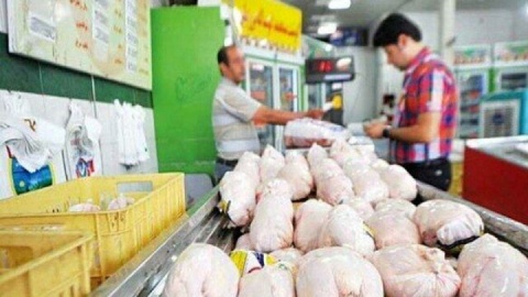 در هیچ نقطه ای از کشور کمبود مرغ نداریم