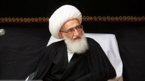 تأکید آیت‌الله نوری همدانی بر تسریع در انتخاب رهبری