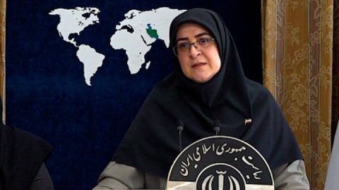 سخنگوی دولت: ۲۲۷ زن و ۱۳ کودک زیر پنج سال از ابتدای جنگ به شهادت رسیدند