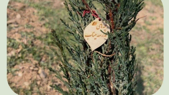 کاشت درخت به یاد بچه‌های مدرسه شهر میناب