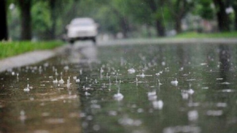 نوید تر سالی در نخستین هفته سال ۱۴۰۵