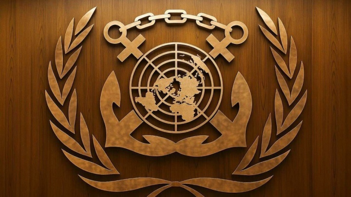 نشست اضطراری «آیمو» درباره وضعیت تنگه هرمز/ مقام سازمان‌ملل بر لزوم کاهش تنش‌تاکید کرد