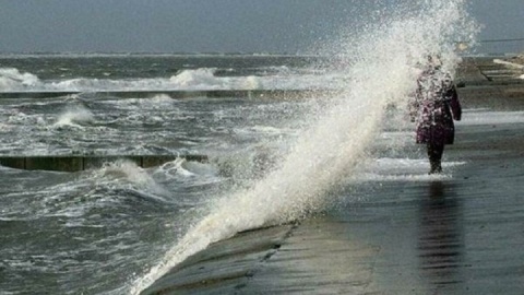 هشدار سازمان هواشناسی نسبت به افزایش سرعت وزش باد در دریای عمان و خلیج فارس