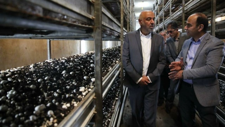 میدری: به همت کارگران در ایام جنگ، مواد غذایی بدون مشکل تولید شد