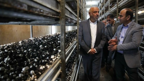 میدری: به همت کارگران در ایام جنگ، مواد غذایی بدون مشکل تولید شد