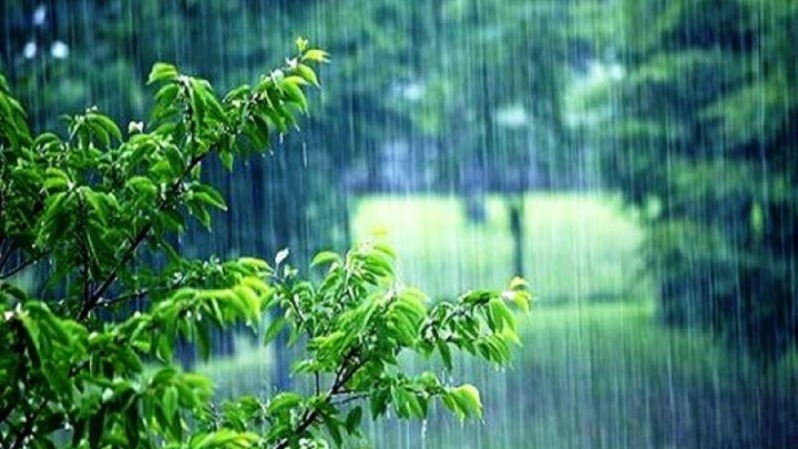 بارش باران در اکثر نقاط کشور/خیزش گردو خاک در برخی نقاط مستعد