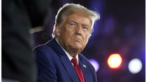 یاغی در باتلاق