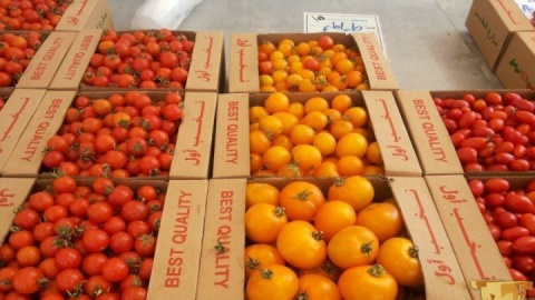 حذف تدریجی ممنوعیت صادرات با هدف حفظ تعادل بازار