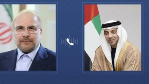 گفت وگوی معاون رئیس امارات با رئیس مجلس شورای اسلامی