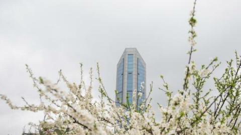 جوی پایدار در بیشتر مناطق کشور/پیش بینی بارش باران از فردا در اغلب مناطق