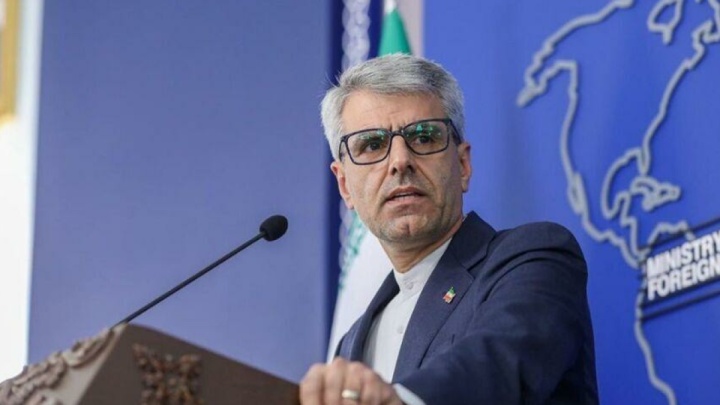 بقائی: در روز ارتش، یاد و خاطره غیور مردان ناو دنا را گرامی می‌داریم