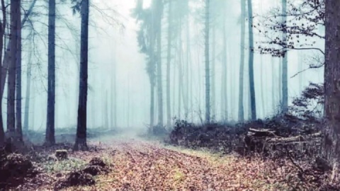 بر بال اساطیر