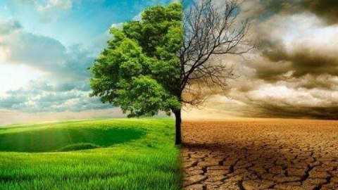 آیا بارش‌های اخیر کشور را از  خشکسالی نجات داد؟