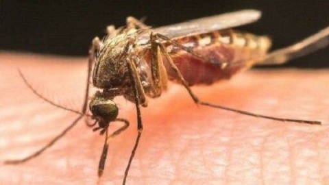 علائم تب، لرز و کم‌خونی را درباره این بیماری جدی بگیرید!