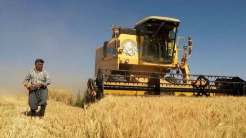 اختصاص ۵۰۴همت برای یارانه گندم و نان/ ذخایر آرد تأمین است