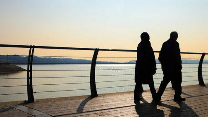 ماجرای حشرات ریز دریاچه شهدای خلیج فارس چیست؟ / پشه آئدس نیست